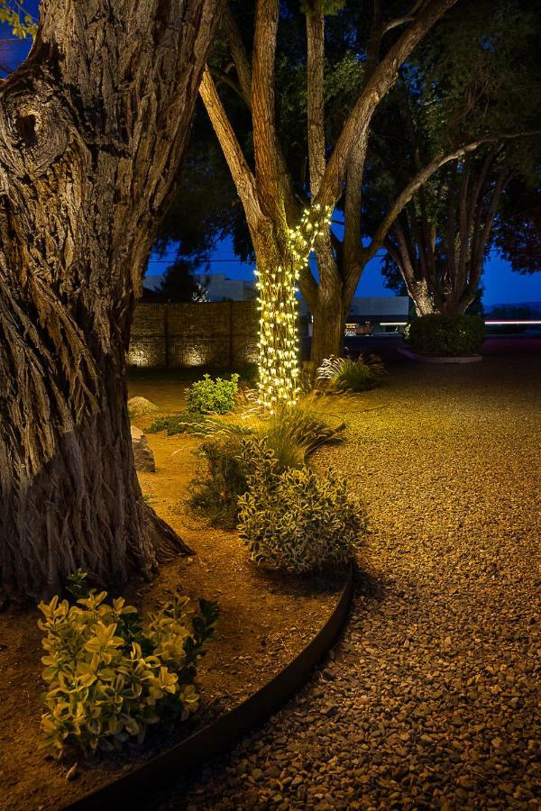 Primrose Inn & Suites Chino Valley Εξωτερικό φωτογραφία